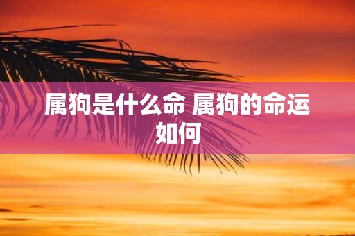 属狗是什么命 属狗的命运如何