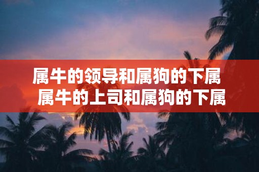 属牛的领导和属狗的下属 属牛的上司和属狗的下属