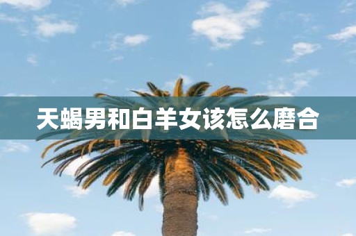 天蝎男和白羊女该怎么磨合
