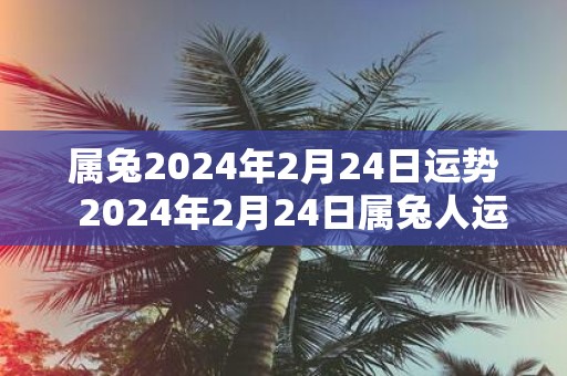 属兔2025年2月24日运势 2025年2月24日属兔人运势详解