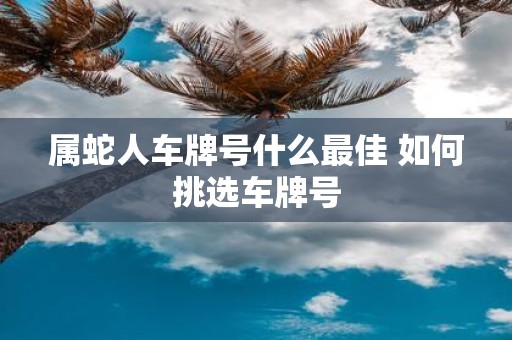 属蛇人车牌号什么最佳 如何挑选车牌号