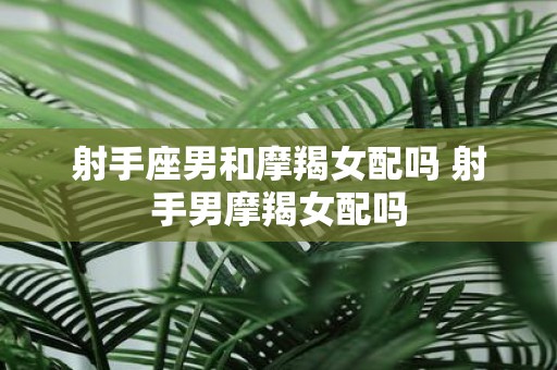 射手座男和摩羯女配吗 射手男摩羯女配吗
