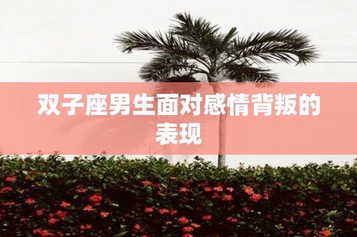 双子座男生面对感情背叛的表现