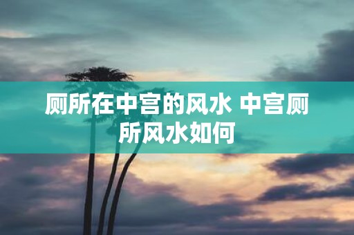 厕所在中宫的风水 中宫厕所风水如何