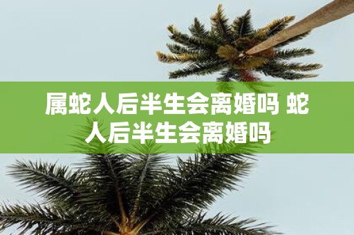 属蛇人后半生会离婚吗 蛇人后半生会离婚吗