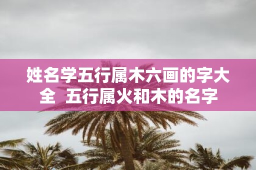 姓名学五行属木六画的字大全 五行属火和木的名字