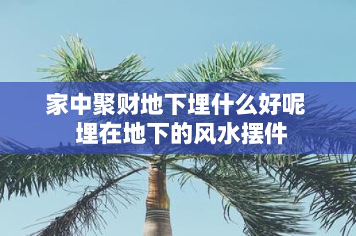 家中聚财地下埋什么好呢 埋在地下的风水摆件