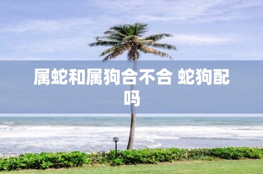 属蛇和属狗合不合 蛇狗配吗