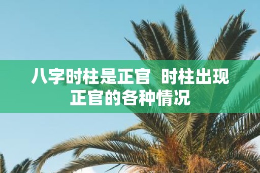 八字时柱是正官 时柱出现正官的各种情况