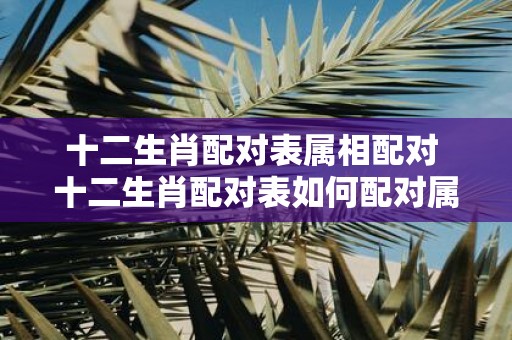 十二生肖配对表属相配对 十二生肖配对表如何配对属相