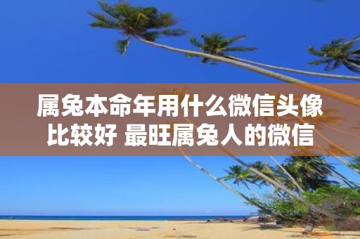 属兔本命年用什么微信头像比较好 最旺属兔人的微信头像本命年版
