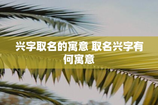 兴字取名的寓意 取名兴字有何寓意