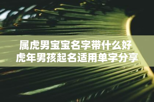 属虎男宝宝名字带什么好 虎年男孩起名适用单字分享