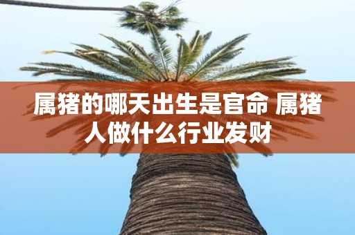 属猪的哪天出生是官命 属猪人做什么行业发财 属猪的哪天出生是官命 属猪人做什么行业发财