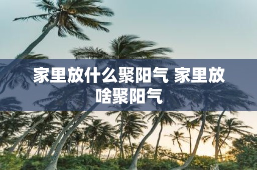 家里放什么聚阳气 家里放啥聚阳气