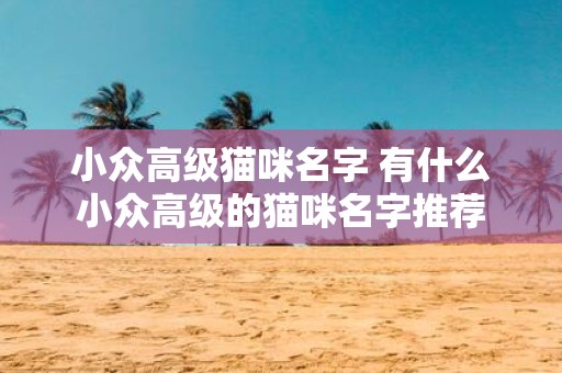 小众高级猫咪名字 有什么小众高级的猫咪名字推荐