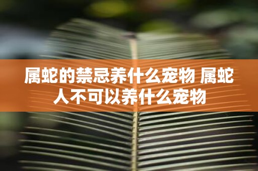 属蛇的禁忌养什么宠物 属蛇人不可以养什么宠物