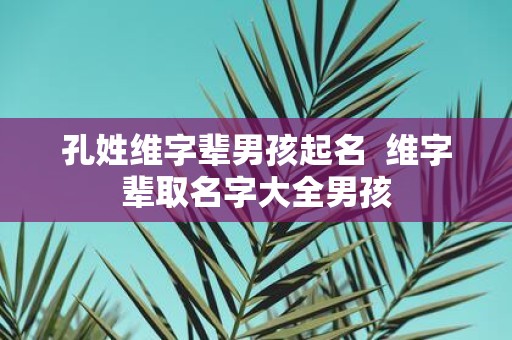 孔姓维字辈男孩起名  维字辈取名字大全男孩