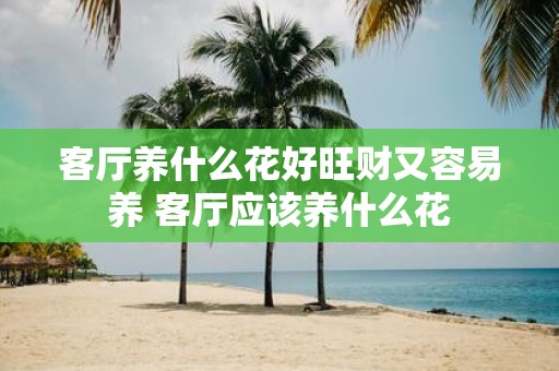 客厅养什么花好旺财又容易养 客厅应该养什么花