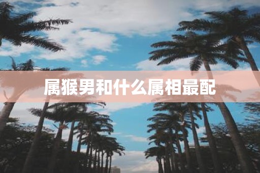 属猴男和什么属相最配