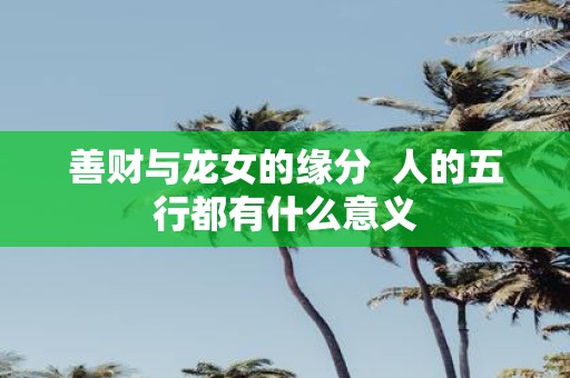 善财与龙女的缘分 人的五行都有什么意义