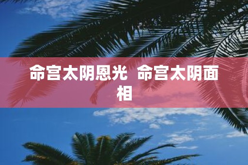 命宫太阴恩光 命宫太阴面相
