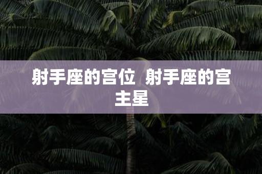 射手座的宫位 射手座的宫主星