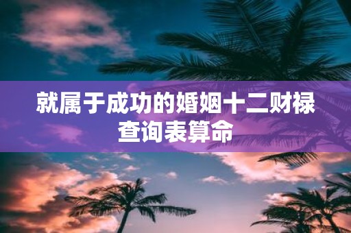 就属于成功的婚姻十二财禄查询表算命