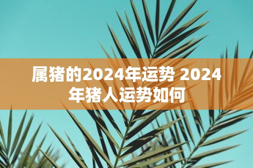 属猪的2025年运势 2025年猪人运势如何