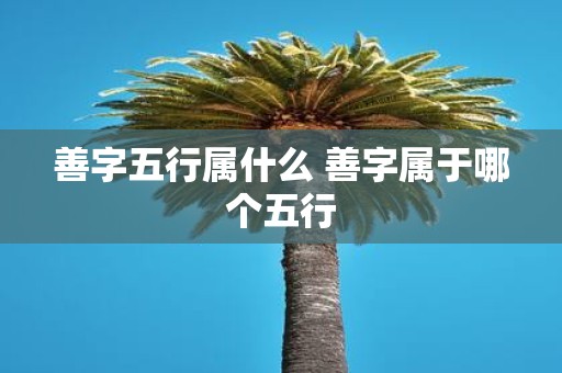 善字五行属什么 善字属于哪个五行