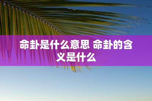 命卦是什么意思 命卦的含义是什么