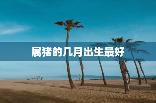 属猪的几月出生最好