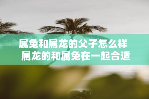 属兔和属龙的父子怎么样 属龙的和属兔在一起合适吗