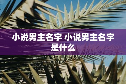 小说男主名字 小说男主名字是什么