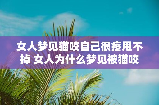 女人梦见猫咬自己很疼甩不掉 女人为什么梦见被猫咬甩不掉