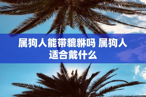 属狗人能带貔貅吗 属狗人适合戴什么