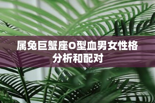 属兔巨蟹座O型血男女性格分析和配对