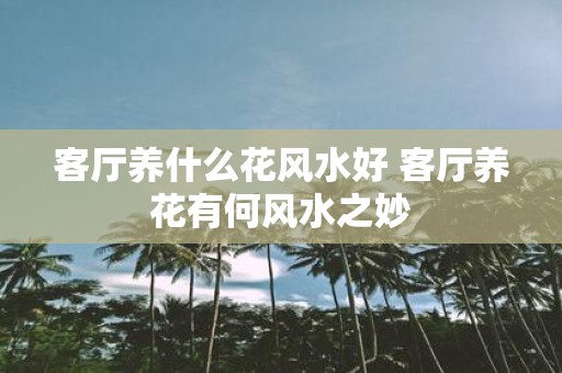 客厅养什么花风水好 客厅养花有何风水之妙