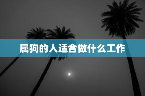 属狗的人适合做什么工作