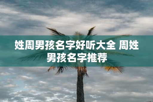 姓周男孩名字好听大全 周姓男孩名字推荐