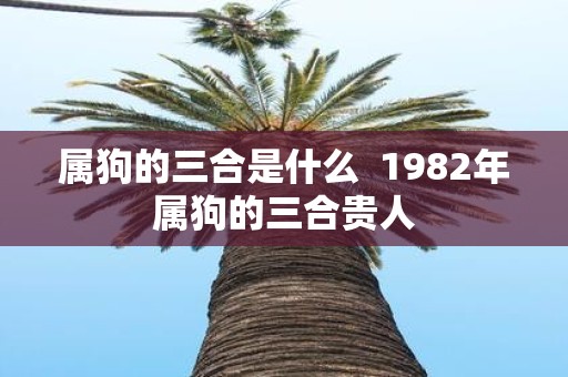 属狗的三合是什么 1982年属狗的三合贵人