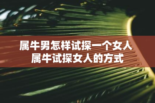 属牛男怎样试探一个女人 属牛试探女人的方式