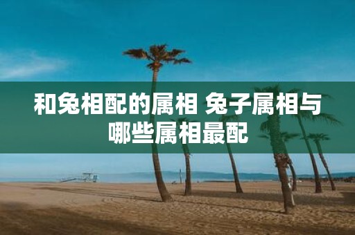 和兔相配的属相 兔子属相与哪些属相最配