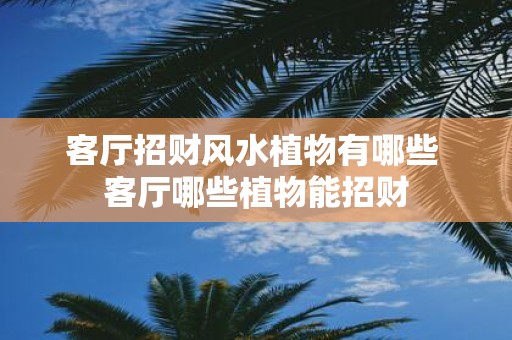客厅招财风水植物有哪些 客厅哪些植物能招财