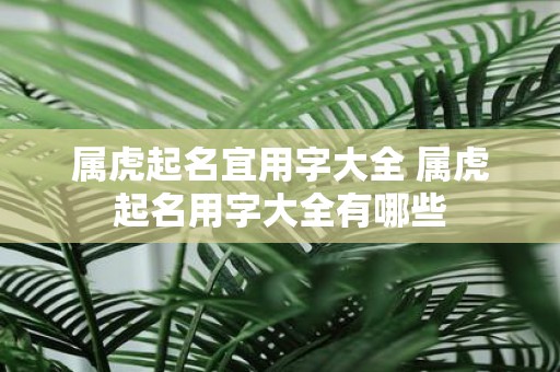 属虎起名宜用字大全 属虎起名用字大全有哪些