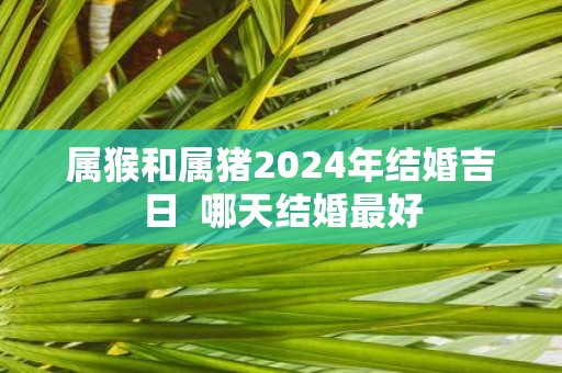 属猴和属猪2025年结婚吉日 哪天结婚最好