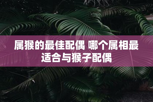 属猴的最佳配偶 哪个属相最适合与猴子配偶