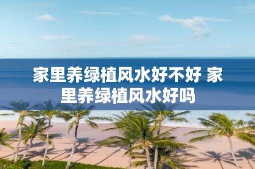 家里养绿植风水好不好 家里养绿植风水好吗