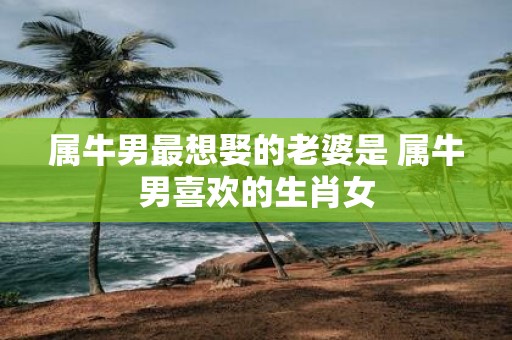 属牛男最想娶的老婆是 属牛男喜欢的生肖女