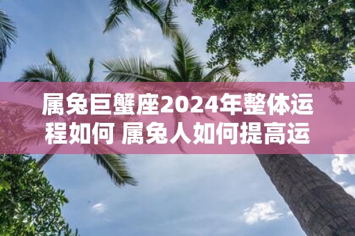 属兔巨蟹座2025年整体运程如何 属兔人如何提高运气